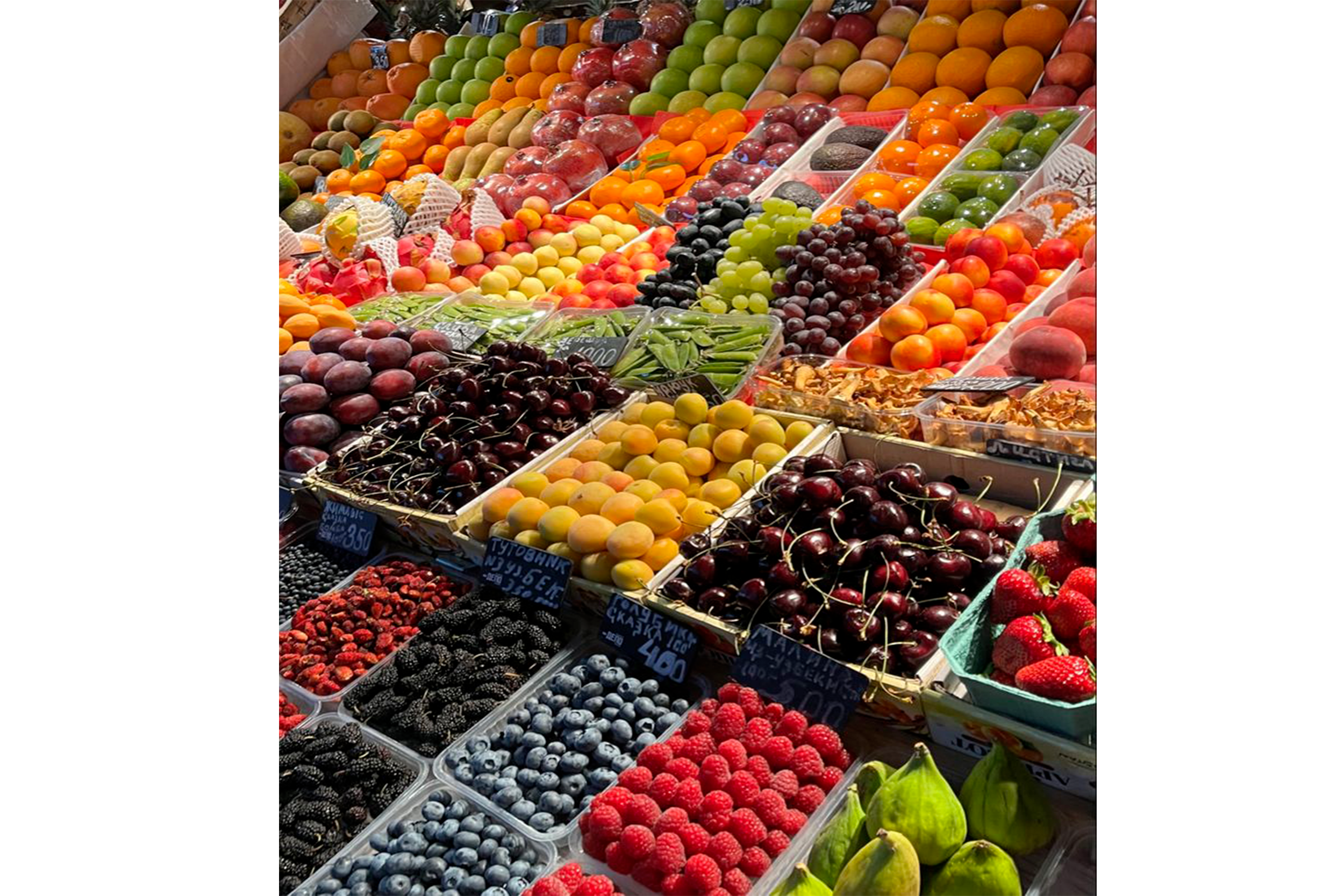 blog
